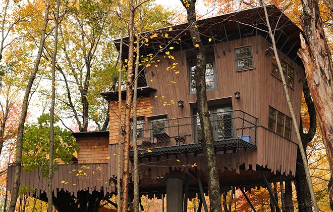 9 Hotel Rumah Pohon yang Akan Membuat Anda Merasa Seperti Anak Kecil Lagi 